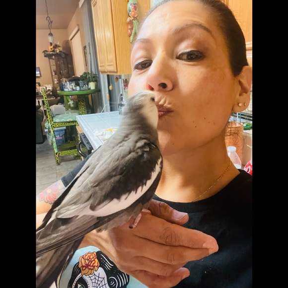 Meet your Posher, Marie - Picture 2 of 2